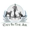 Logo of the association Cats in the air 2016